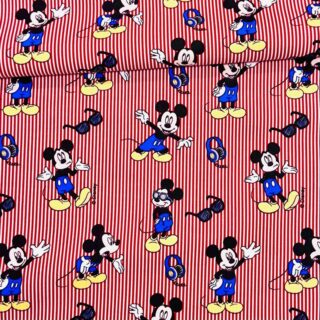 AlgodonMickey